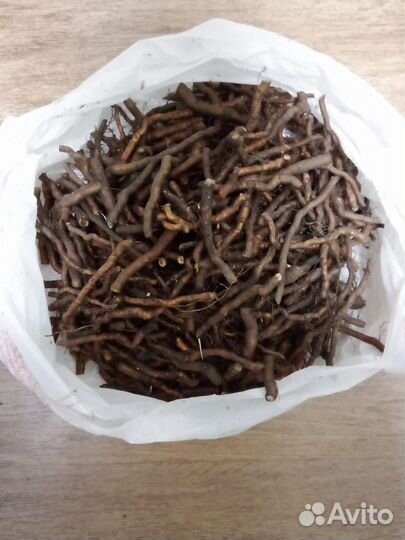 Корни ремонтантной ежевики