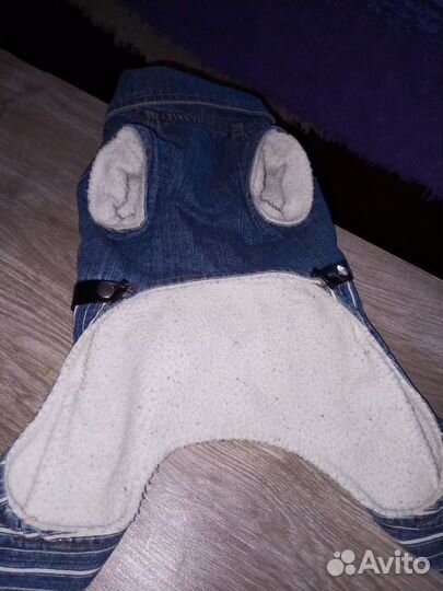 Собачий джинсовый комбинезон