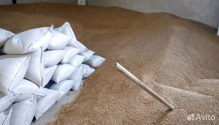 Ячмень/Корм для животных с/х