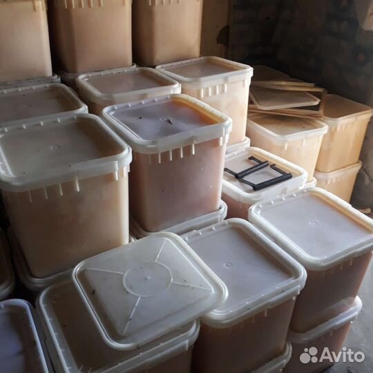 Мед прополюс