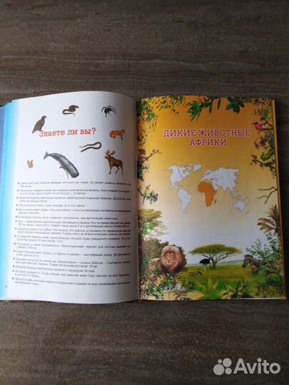 Иллюстрированный энциклопедия животных