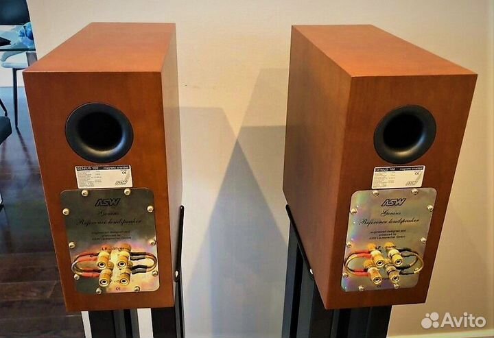 Hi-End ASW Genius-100 (Made in Germany)