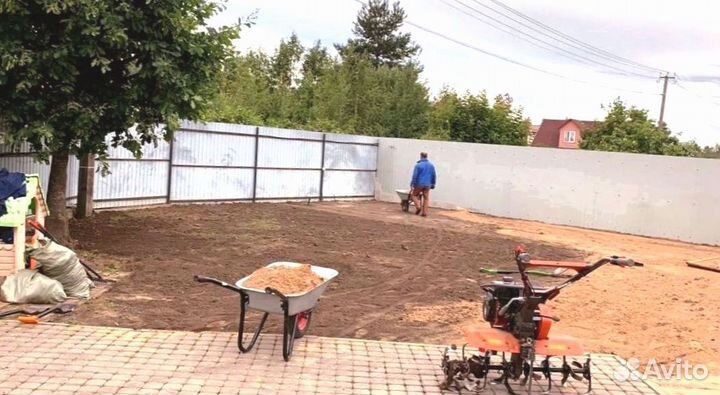 Рулонный газон