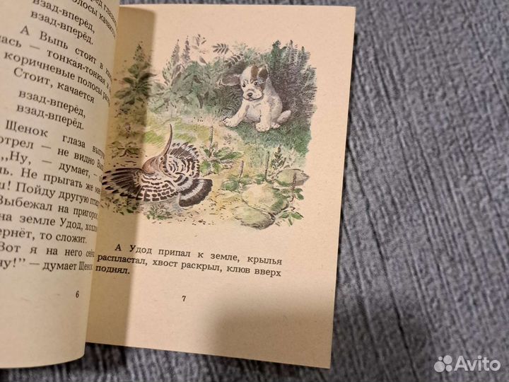 Книги Первая охота. Серия для маленьких