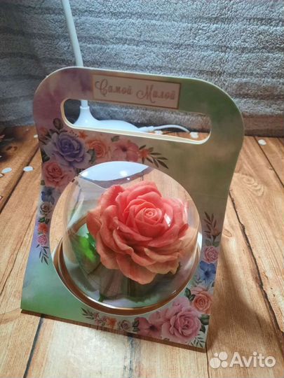 Роза в куполе