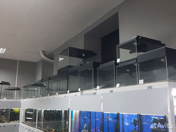 Аквариумы разных размеров и форм