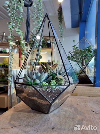 Флорариум с суккулентами Резная капля