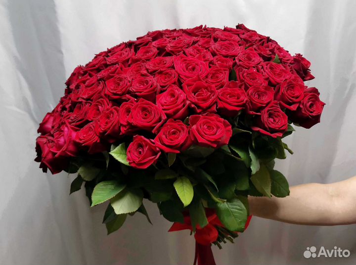 Розы с доставкой, букет роз 101 шт
