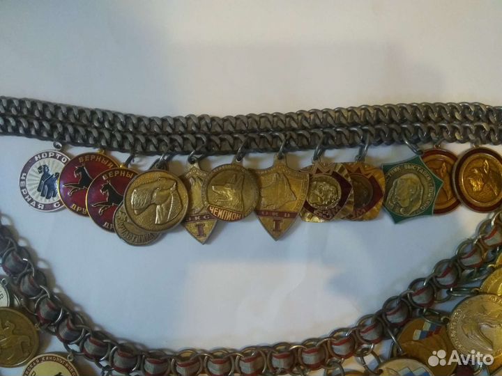 Медали собачьих выставок на выставочном ошейнике