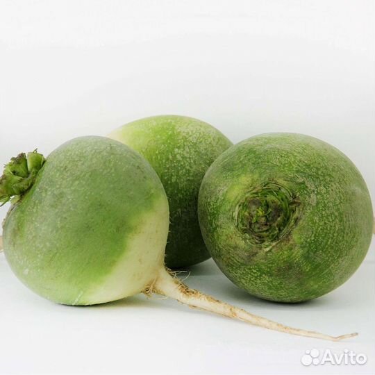 Семена редьки