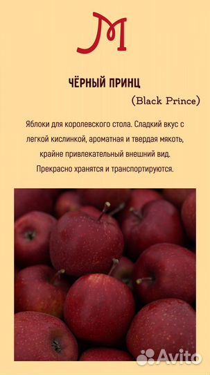 Яблоки местные