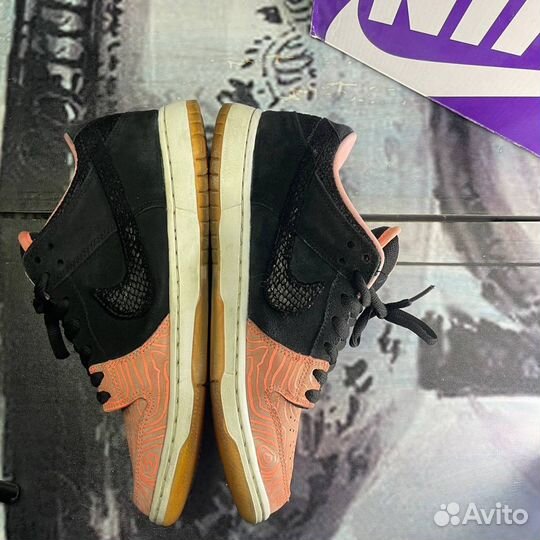 Кроссовки Nike Dunk Low Pro SB Fish Ladder