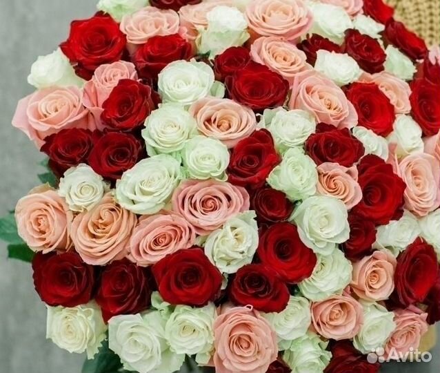 101 тюльпан Букеты Цветы