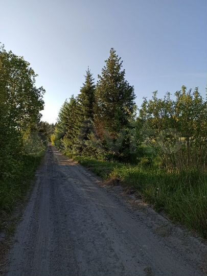 Участок 15 сот. (СНТ, ДНП)