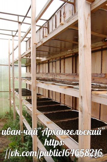 Иван-чай ферментированный с таежным зверобоем
