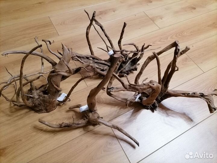 Коряги, корень Азалии в аквариум