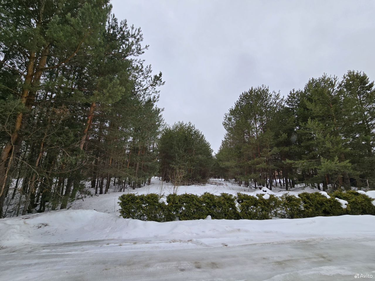 Воронеж, Живописная улица