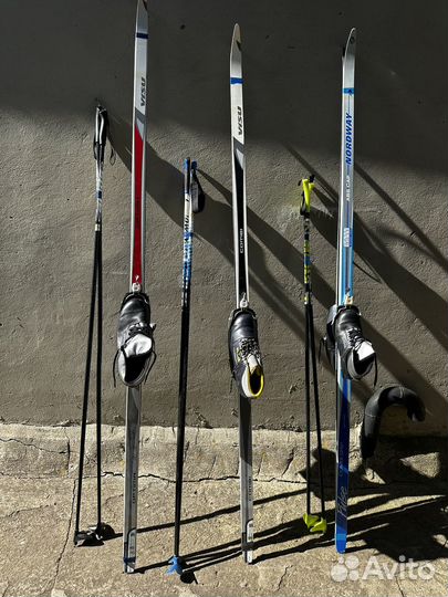 Беговые лыжи