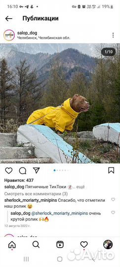 Комбинезон зимний для средних собак