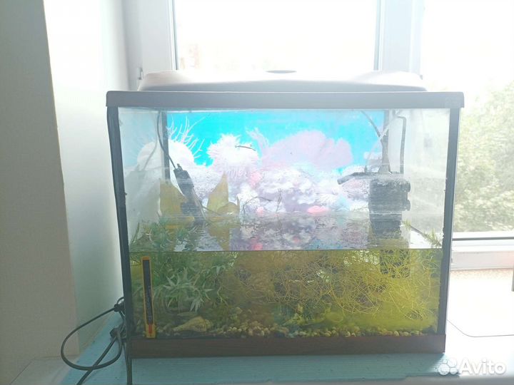 Аквариум 60л с обогревателем, светом и фильтром