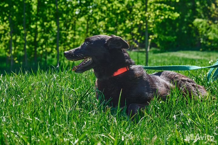 Гита ждет свою семью в приюте