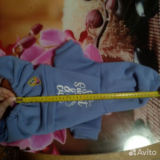 Одежда для собак