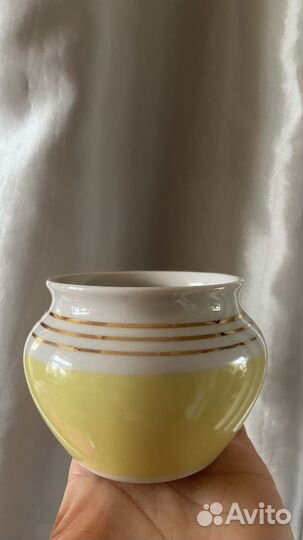 Вербилки радиоволны желтый(редкий)