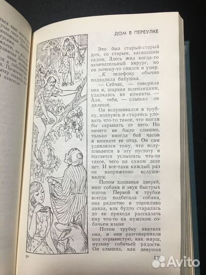 Время счастливых находок, Фазиль Искандер, 1973