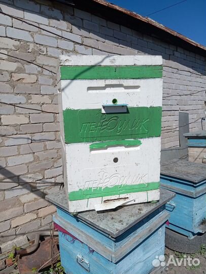 Улей для пчел ППУ