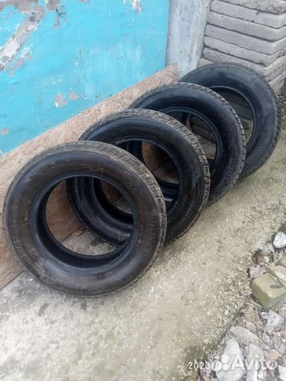Tigar Winter 205/65 R15 94T