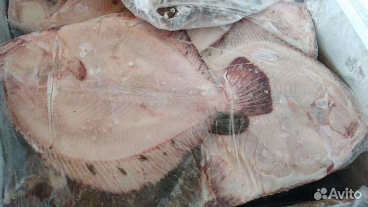 Продаю рыбу бычок