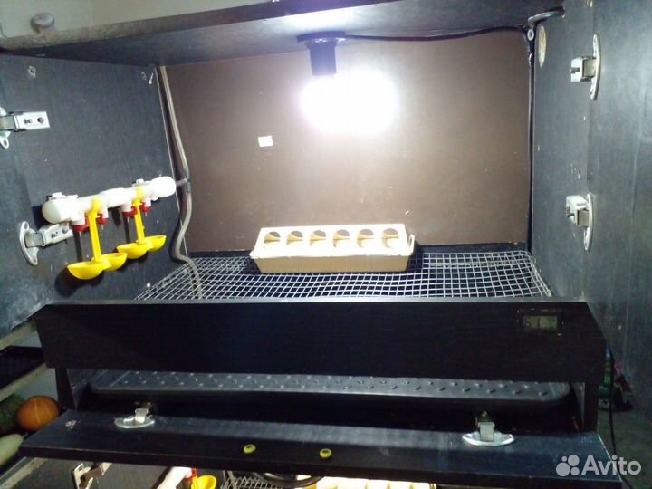 Брудер для цыплят бу