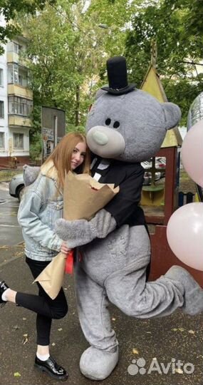 Мишка тедди на праздник