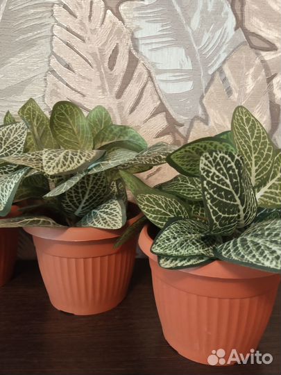 Искусственные цветы для декора