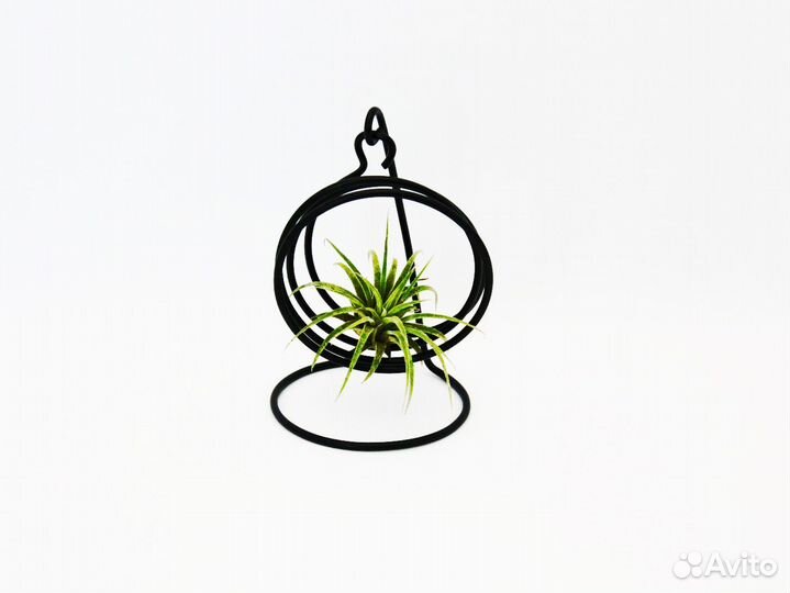 Подставка для тилландсии