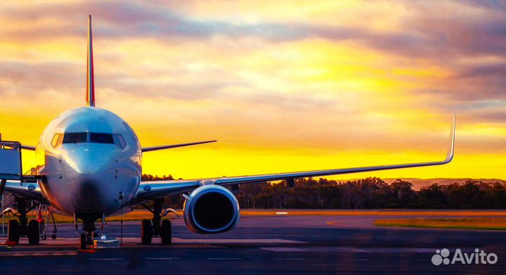 Вахта Шереметьево Мойщик