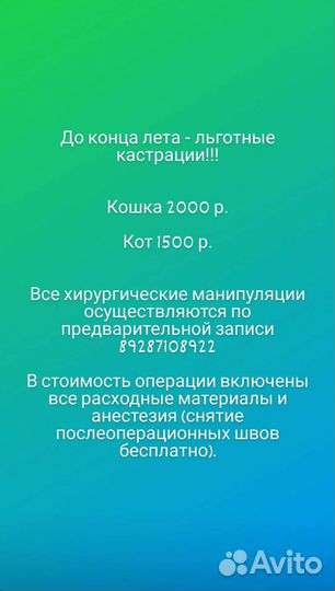 Ветеринарный врач, клиника
