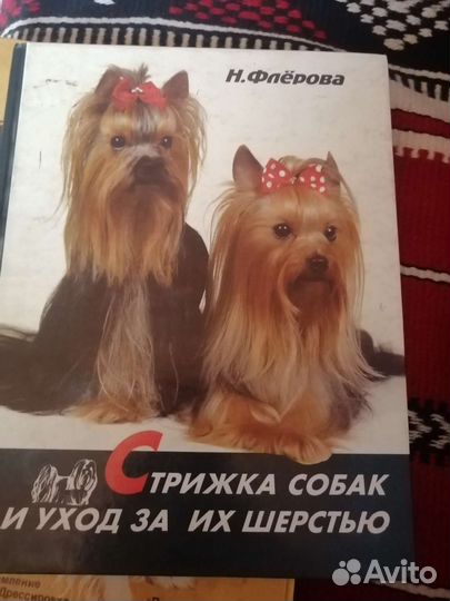 Литература