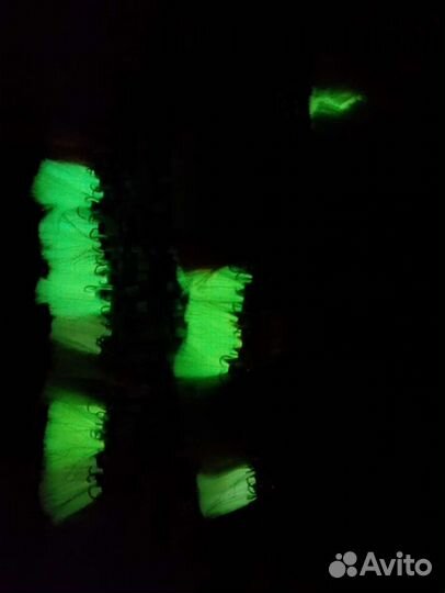 Удовольствие хищника