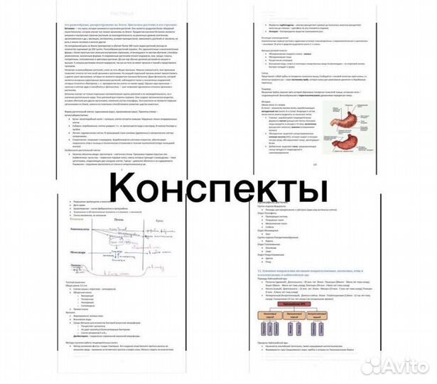 Конспекты для подготовки к дви в мгу
