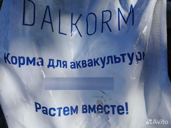 Живая рыба для пруда и для вашего стола