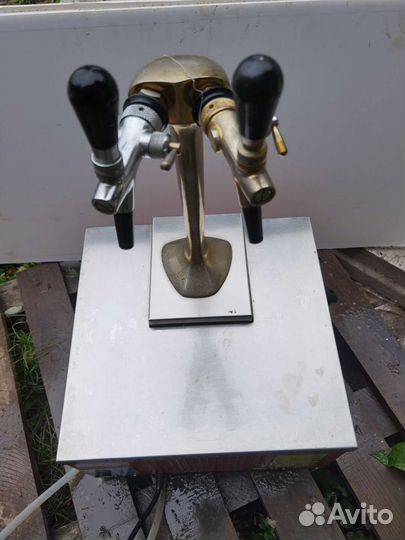 Холодильник пива