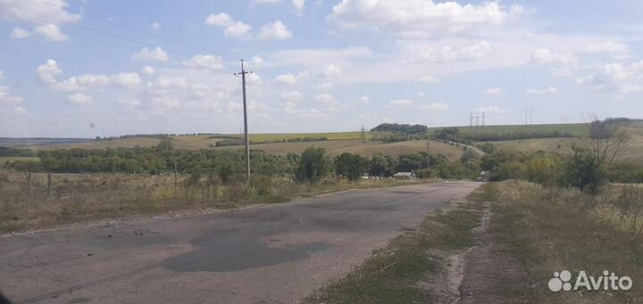 С/х животные