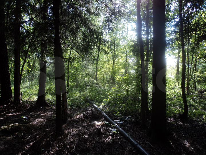 Дача 36 м² на участке 13 сот.