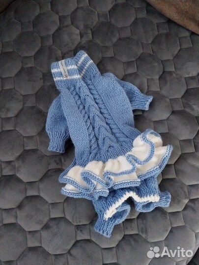 Одежда для животных