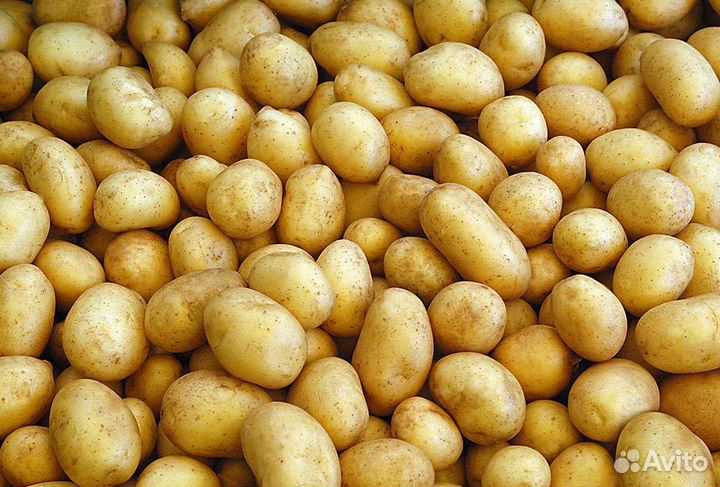 Картофель свежий деревенский