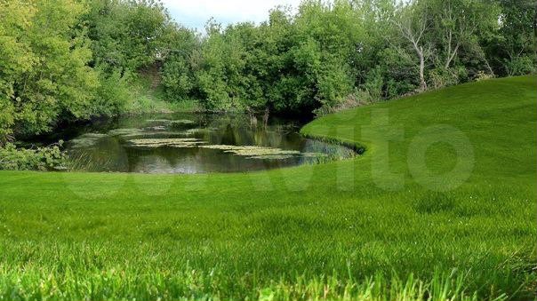 Участок 12 сот. (СНТ, ДНП)