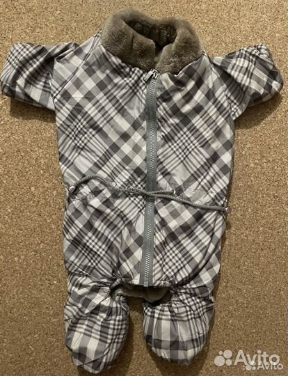 Одежда для собак мелких и средних пород