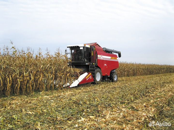 Комбайн Гомсельмаш КЗС-1218 (Палессе GS12), 2023