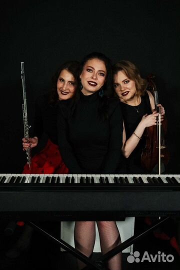 Музыканты на мероприятие